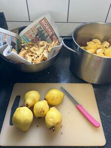 WhatsApp Image 2025 11 21 at 13.34.28