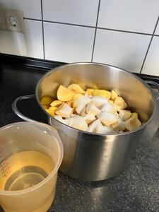 WhatsApp Image 2025 11 21 at 13.34.30