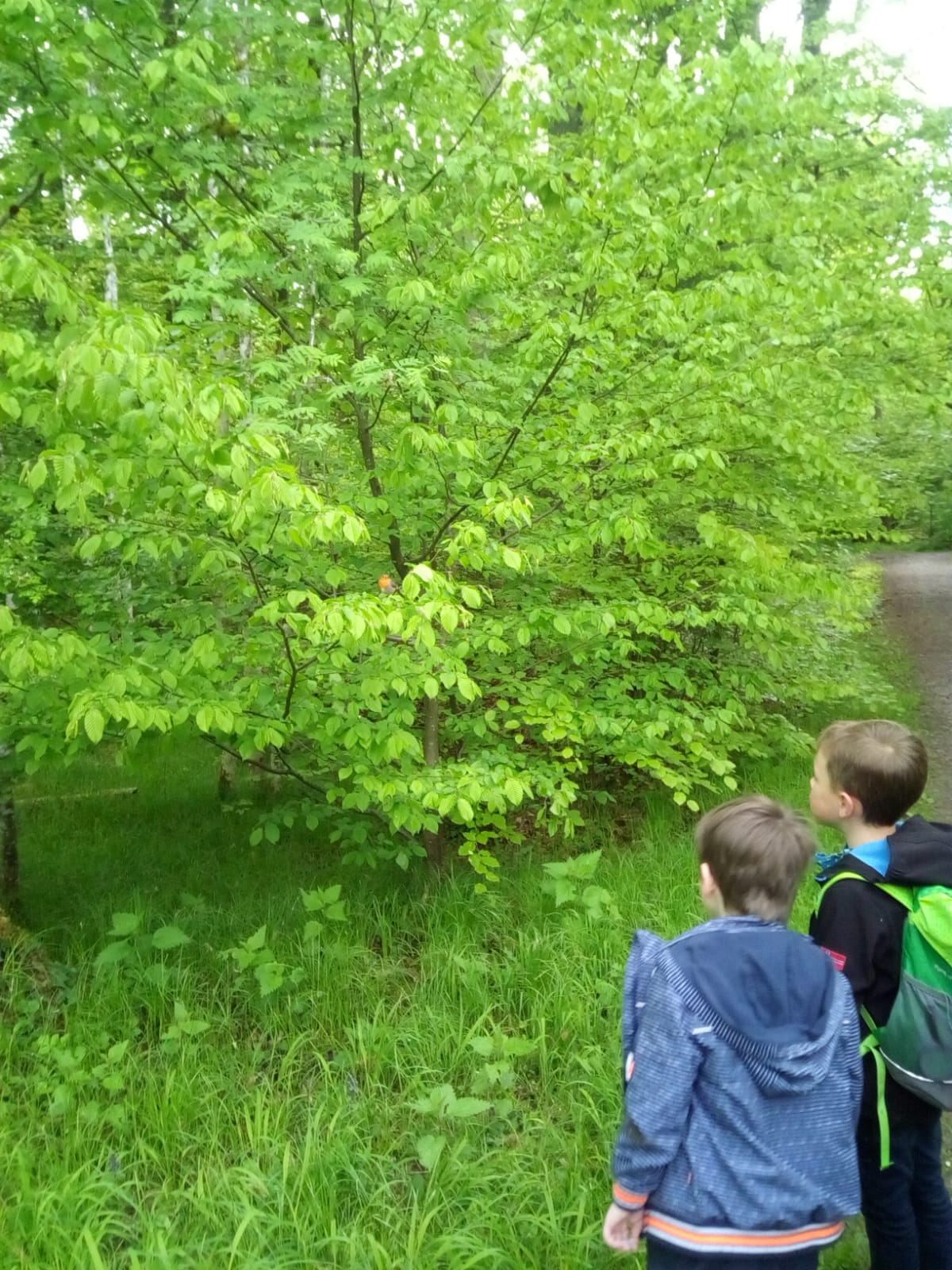 WhatsApp Image 2021 06 30 at 12.26.29